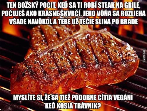  Steak 