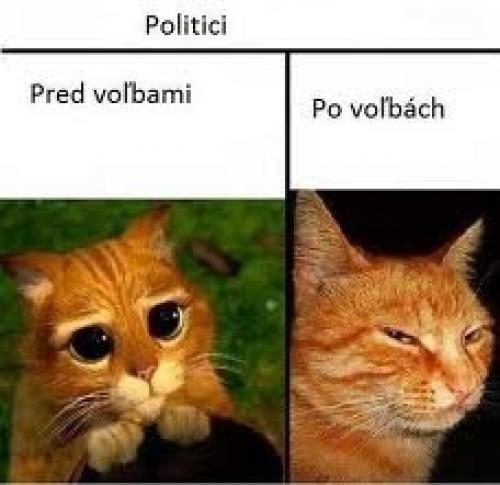  Před a Po 