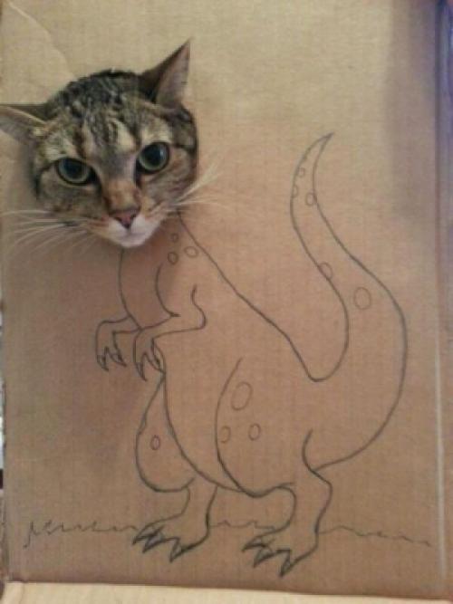 Dinocat