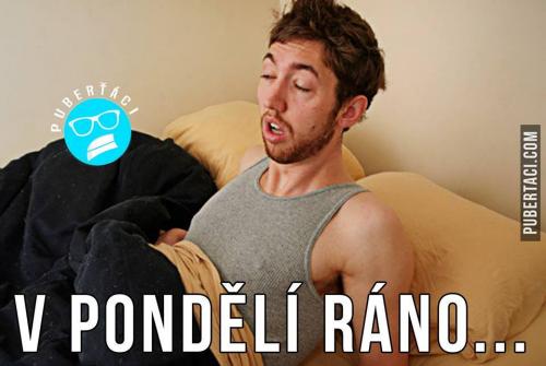  Pondělí ráno 