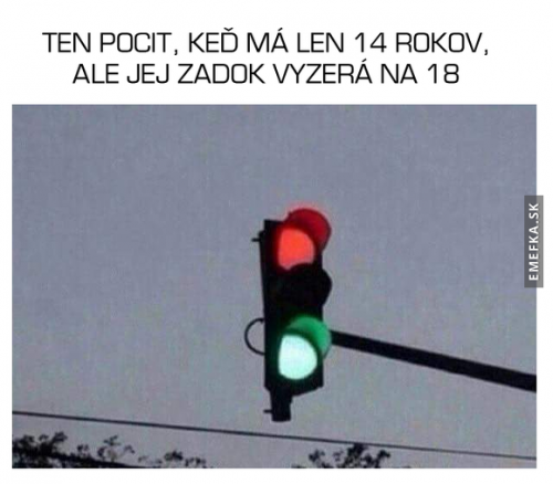  Věk 