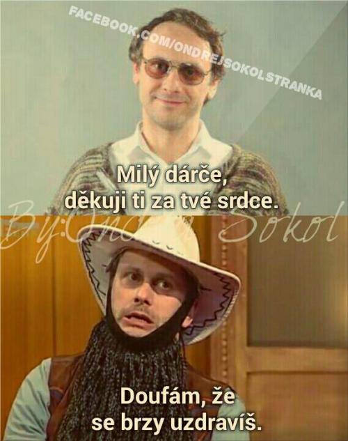 Milý dárče,....