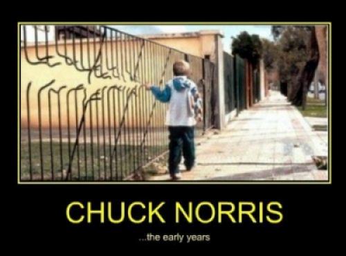  Chuck Norris za mlada 