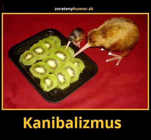 Kanibalizmus