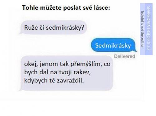  Co můžete poslat své vyvolené... trochu romantiky! 