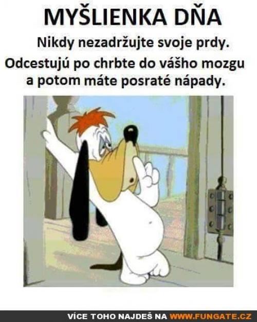  Nikdy nezadržuj 