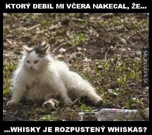  Whisky 