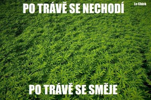 Po trávě