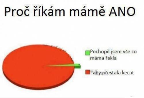  Proč říkám mámě ANO 