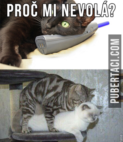  Proč mi nevolá 