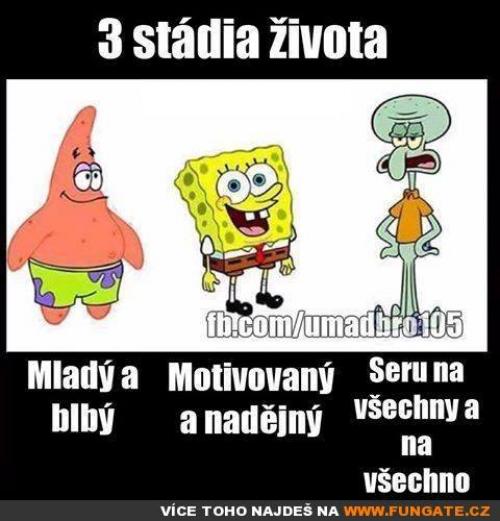  3 stádia života 