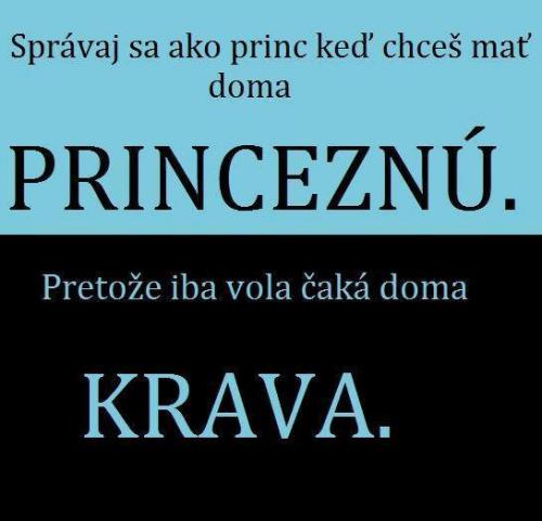  Princezna 