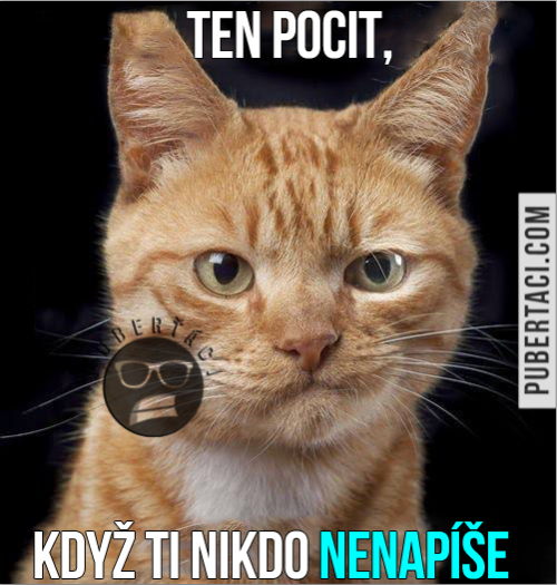  Když ti nikdo nenapíše 