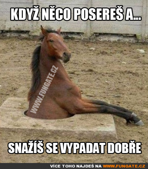 Když něco posereš a