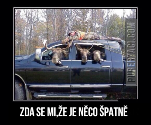  Něco je špatně 