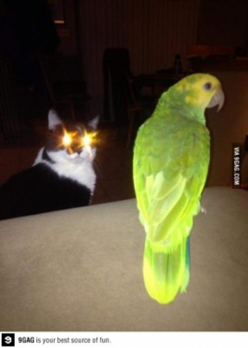 Hypnotyzér