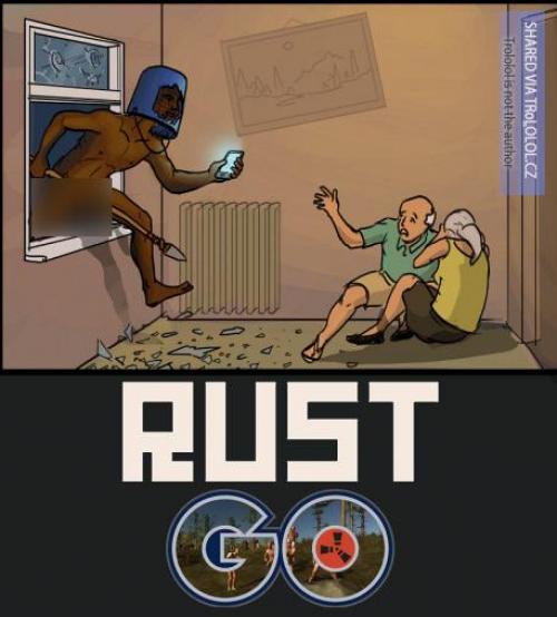  Rust Go 