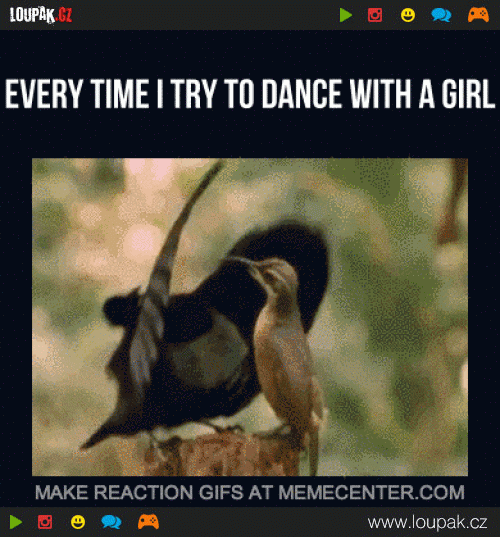  Když se pokouším tancovat s holkou  