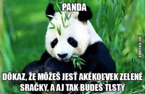  Panda 