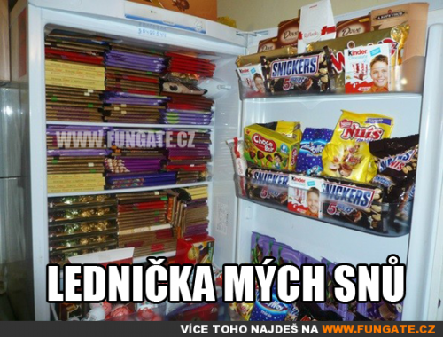  Lednička mých snů 