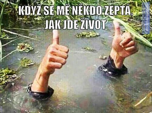  Jak jde život 