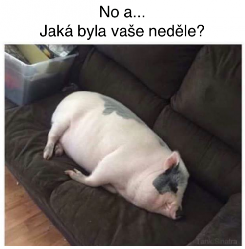  Neděle 