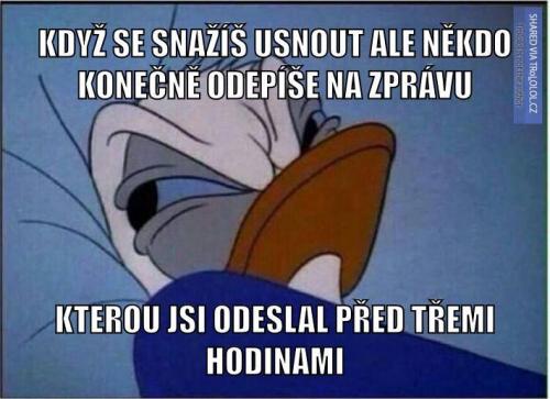  Zpráva 