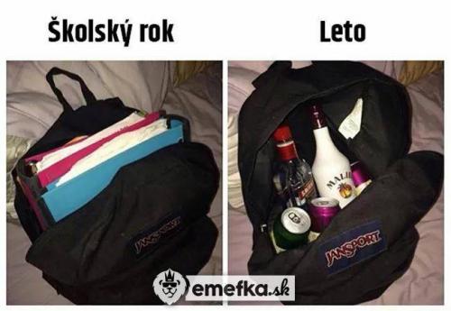  Školní rok 