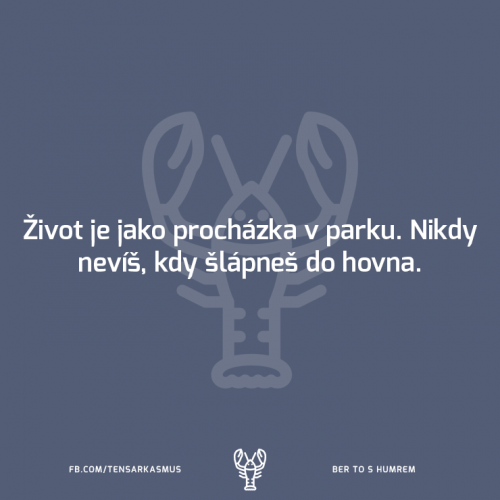  Procházka 