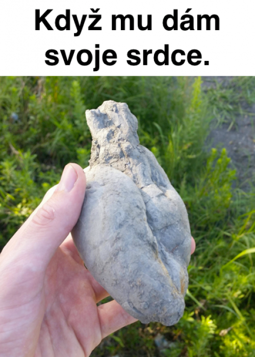  Svoje srdce 