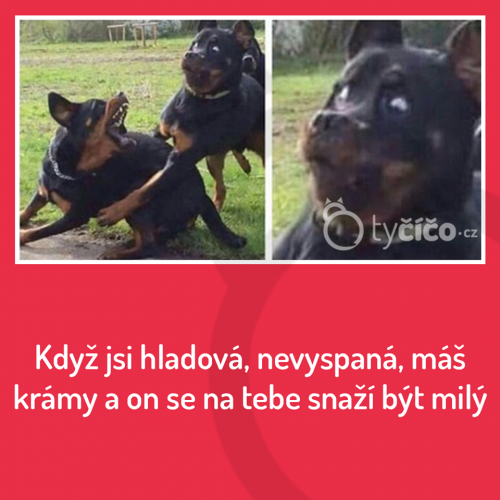 Když jsi hladová