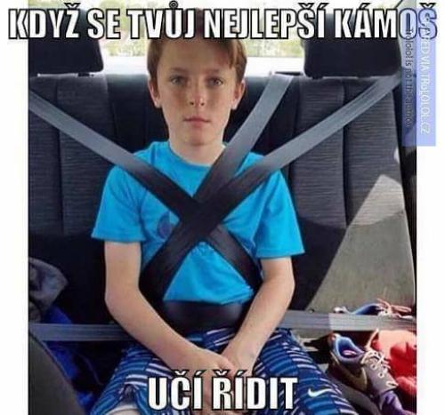 Rízení