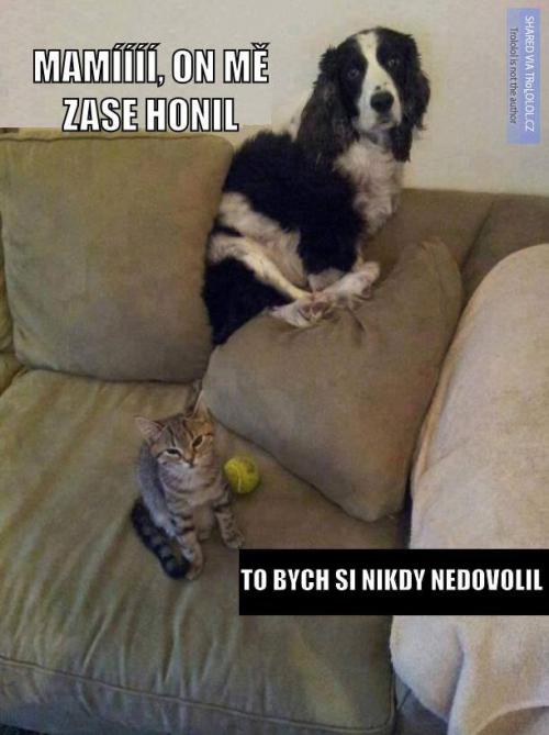 To bych si nedovolil