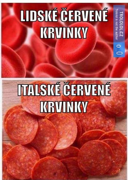 Krvinky