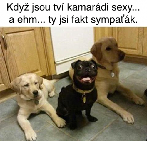 Kamaárdi
