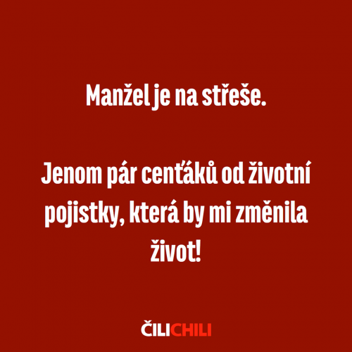  Manžel 