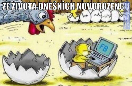  Dnešní novorozenci 