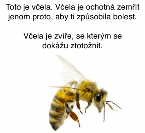  Včela 