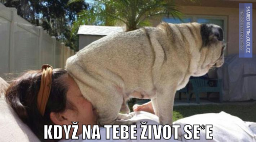  Život 