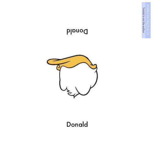  Donald 