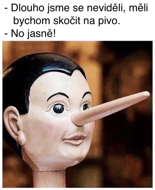  Dlouho jsme se neviděli 