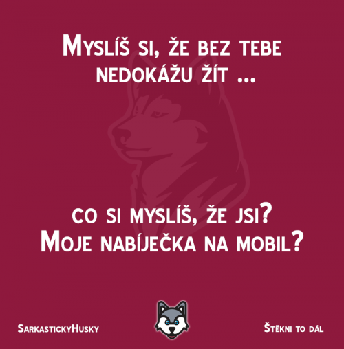Nedokážu