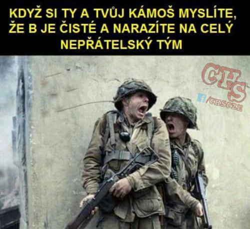 Nepřátelský týn