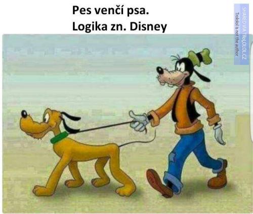  Disney 