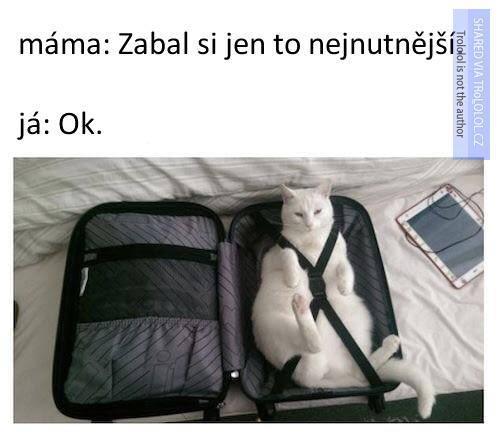 Nejnutnější