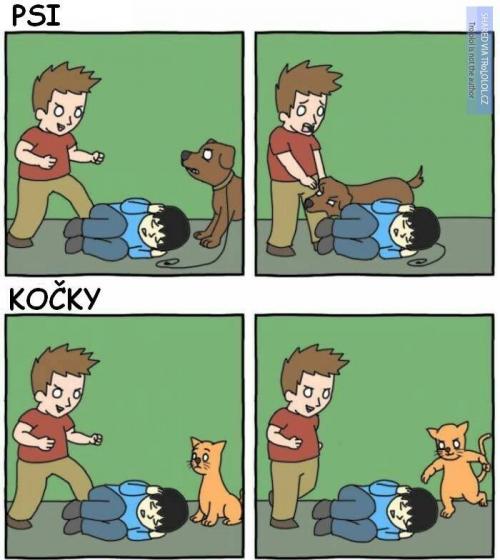  Psi a kočky 