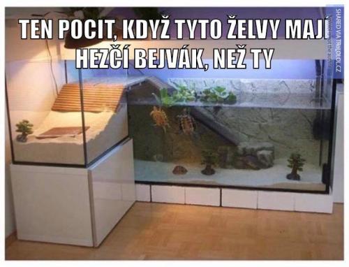 Bejvák