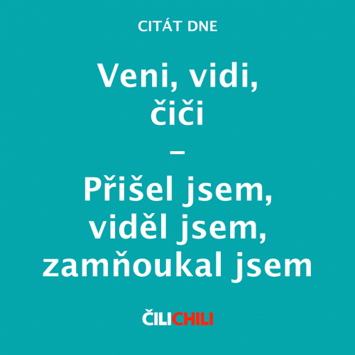  Veni, vidi, čiči 