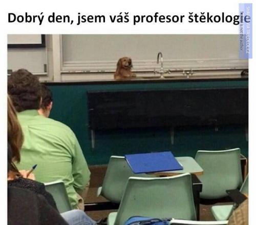  Profesor 