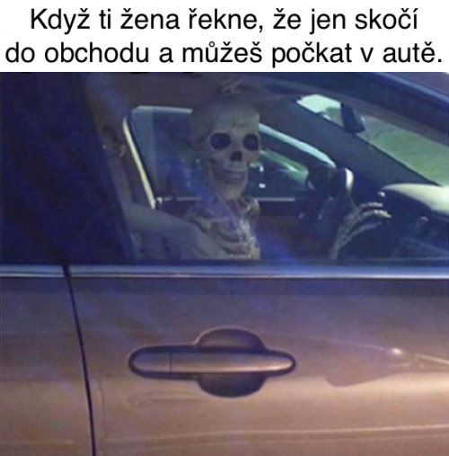  Žena 